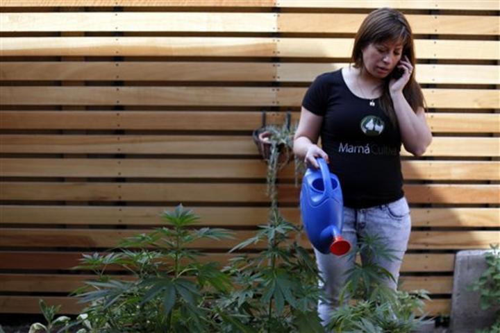 Paulina Bobadilla riega las plantas. (AP)