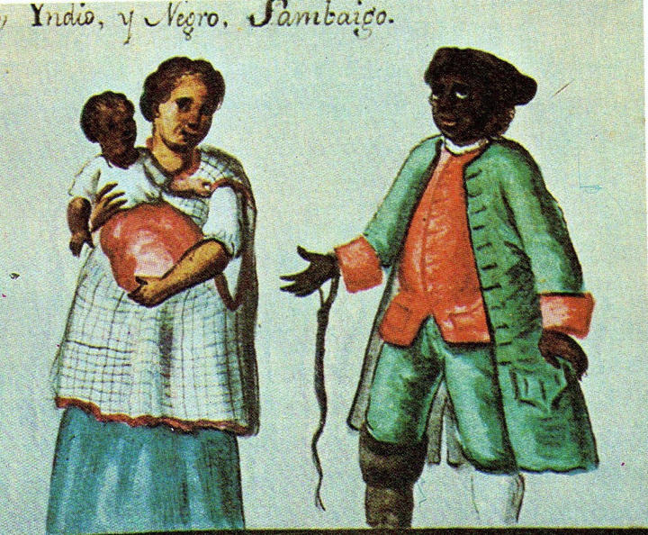 Unas de las mezclas raciales de negros que más se dieron en la región. (Mexico y su Historia. Volumen 3. UTHEA, S.A DE C.V. 1984)