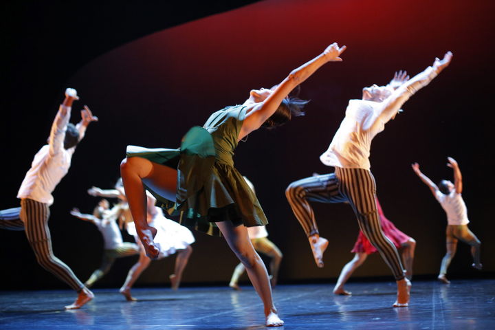 El origen. El Encuentro Nacional de Danza fue creado el año pasado por el Consejo Nacional para la Cultura y las Artes (Conaculta) y el Instituto Nacional de Bellas Artes (INBA). 