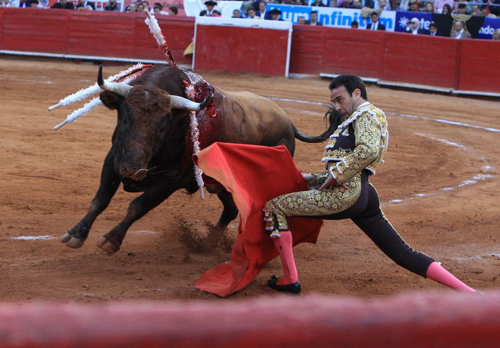El español Enrique Ponce lidia su primer toro de la tarde 'Liberador', de 497 kg, en la decimotercera corrida en la Plaza de Toros México. (EFE)