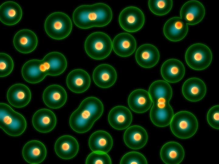 La investigación, que publica la revista 'Current Biology', devela el proceso específico de formación de los microtúbulos de los cromosomas durante la mitosis (proceso de división de las células). (ARCHIVO)