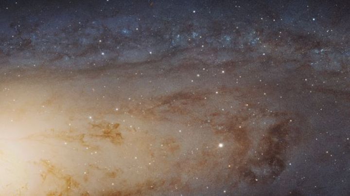 Foto. NASA muestra la imagen más precisa de la historia , capta estrellas como granos de arena. (ARCHIVO)