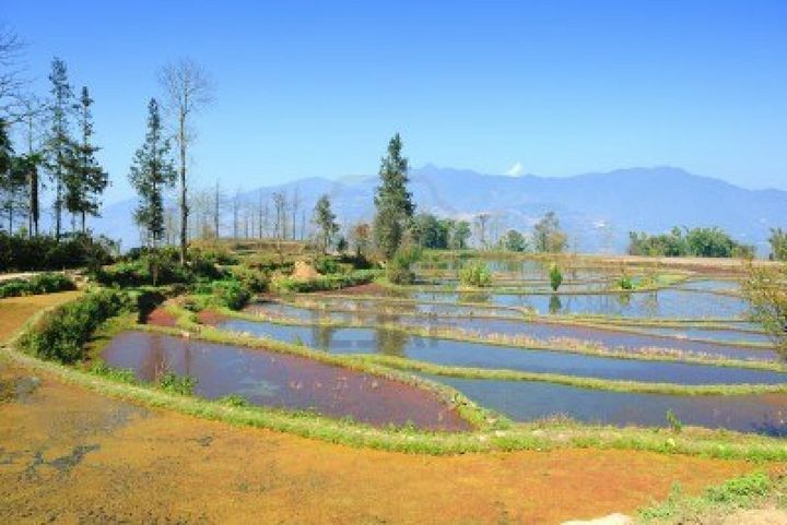 Localizados al sur de la provincia Yunnan, los arrozales de los hani abarcan 16 mil 603 hectáreas de terrazas escalonadas.