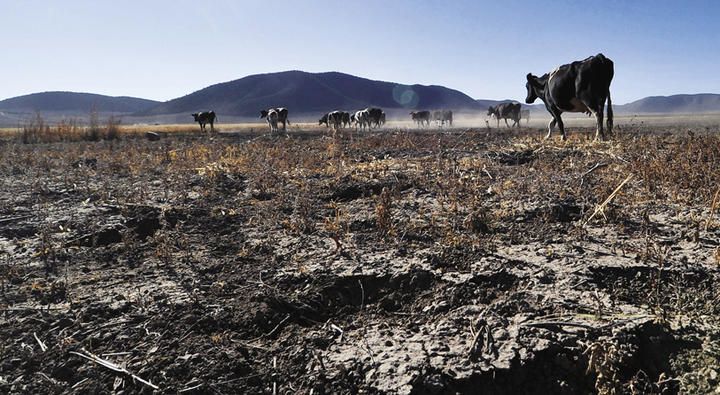 Intensa sequía que afecta a Galeana en el estado de Nuevo León, 2014. (Foto: EFE)