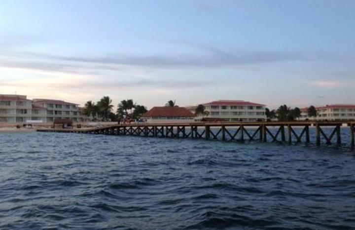 El Centro Mexicano de Derecho Ambiental solicitó la clausura del delfinario 'Dolphin Discovery Riviera Cancún', que opera ilegalmente desde hace más de dos años como parte de un muelle ampliado en el hotel Moon Palace. (Twitter) 