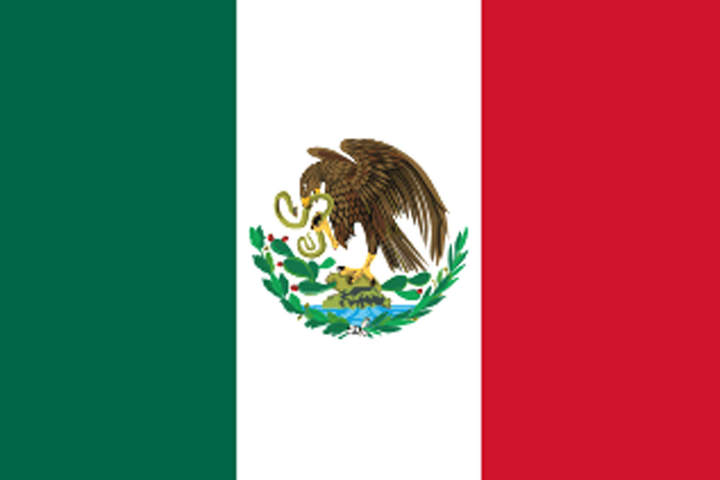 Bandera de V. Carranza.