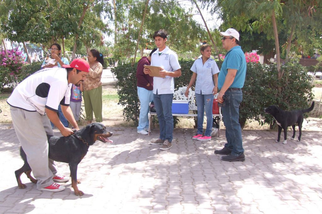 Dosis. Se espera aplicar alrededor de 5 mil vacunas a perros y gatos en todo el municipio. (EL SIGLO DE TORREÓN)
