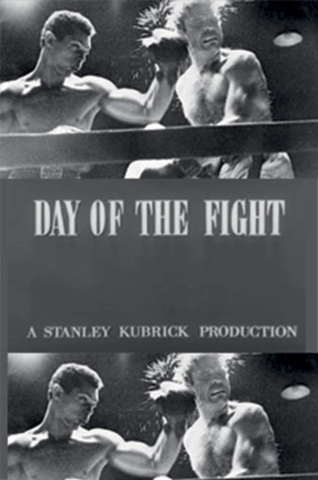 Day of Fight.
