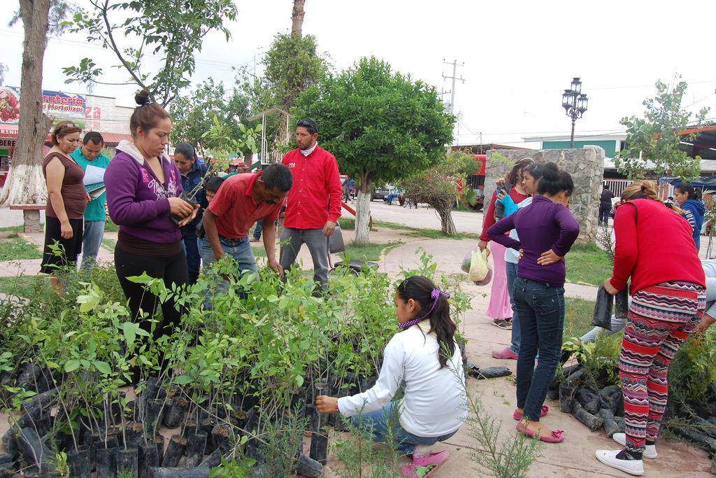 Reforestación. Ecología y Medio Ambiente realizó una campaña de reforestación a propósito del inicio de la primavera. (Mary Vázquez)