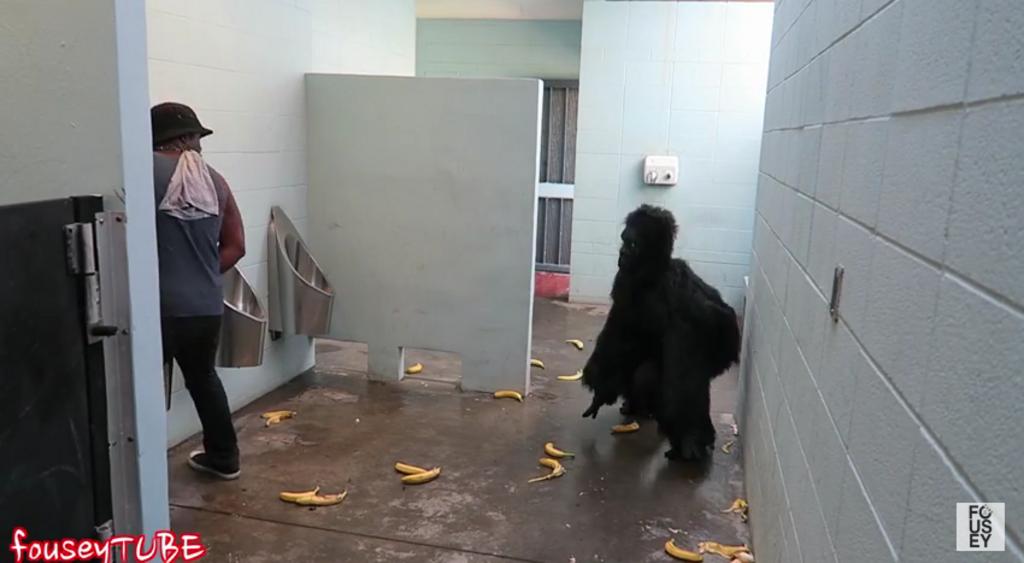 ¿Qué harías si te topas a un gorila en el baño?