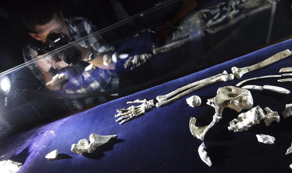El esqueleto casi completo de 'Little Foot', hallado hace 21 años en la cueva de Sterkfontein, en Sudáfrica, vivió hace unos 3.67 millones de años, mientras que 'Lucy', cuyos restos demostraron por primera vez que los ascendientes del hombre podían andar erguidos, vivió hace unos 3.2 millones de años. (ARCHIVO)