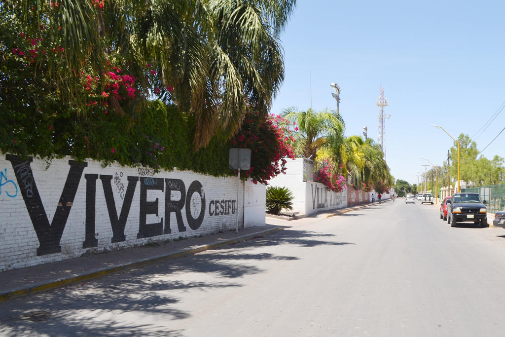 El Vivero Municipal de Lerdo cuenta con alrededor de nueve mil árboles disponibles en producción. (ARCHIVO)