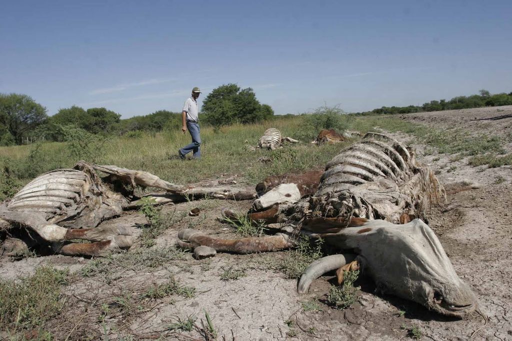 Riesgos. La sequía es un mal que pone en entredicho el futuro de cientos de municipios y de estados cuya economía depende del flujo de agua.