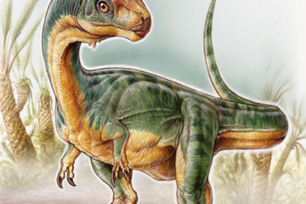 Se trata de un nuevo dinosaurio dentro de los terópodos, aunque no pertenece a ninguno de los grupos conocidos hasta ahora. (TOMADA DE INTERNET)