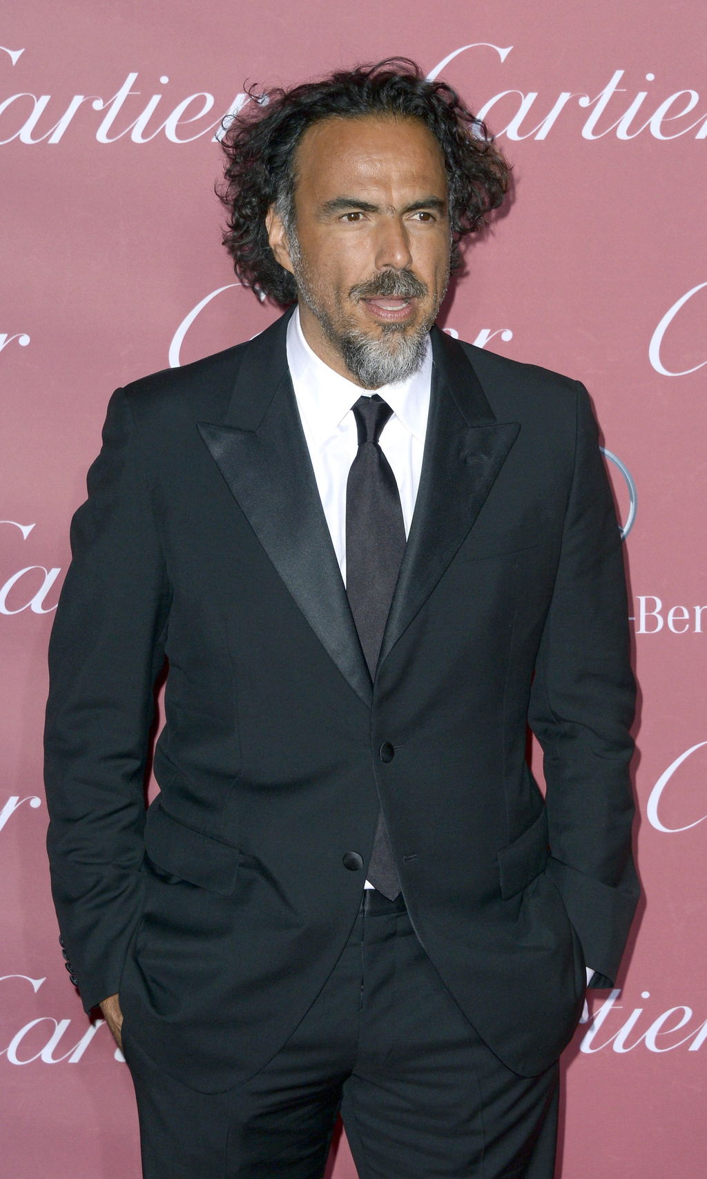'Downey Jr. halagó a González Iñárritu'