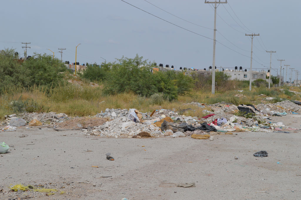 Suciedad. Los terrenos abandonados en fraccionamiento Latinoamericano molestan y afectan la salud de los vecinos. (ROBERTO ITURRIAGA)