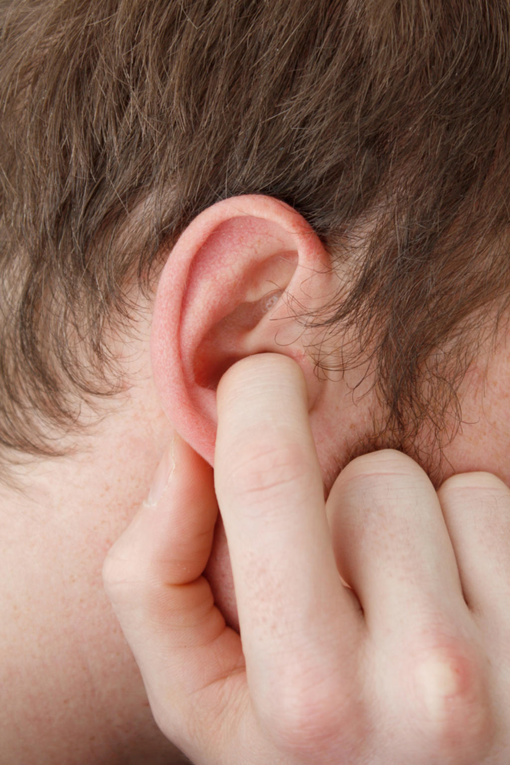 En un entorno ruidoso, el cerebro envía señales a los oídos para que el 'amplificador coclear' entre en funcionamiento y rebaje el nivel sonoro. (ARCHIVO)