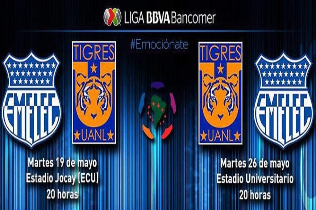 Así jugará Tigres la fase de Cuartos de Final de la Copa Libertadores. 