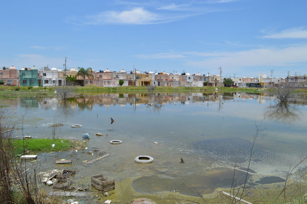 Insalubridad. El terreno abandonado de la calle Campo de Violetas se observa lleno de agua y basura desde hace unos cinco meses.