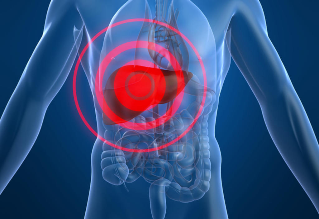 Muchos tipos de cánceres, como el de colon o el de páncreas, tienden a crear metástasis en el hígado y cuanto antes se puedan diagnosticar más probable es que se puedan tratar con éxito. (ARCHIVO)