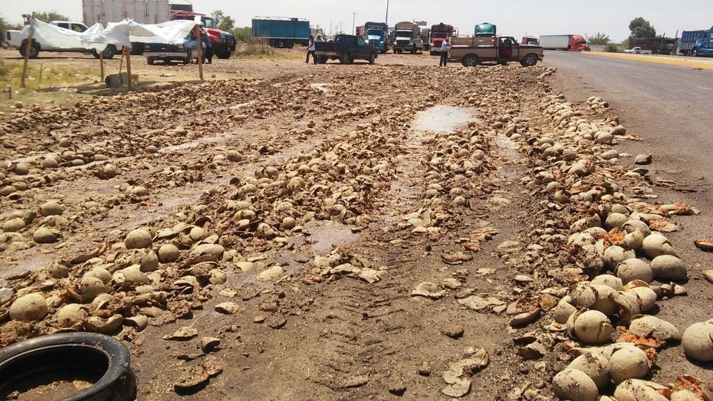 Ayer sábado como medida de presión tiraron al menos 200 toneladas del producto en un terreno que se localiza al lado de la carretera Matamoros-Saltillo. (El Siglo de Torreón)
