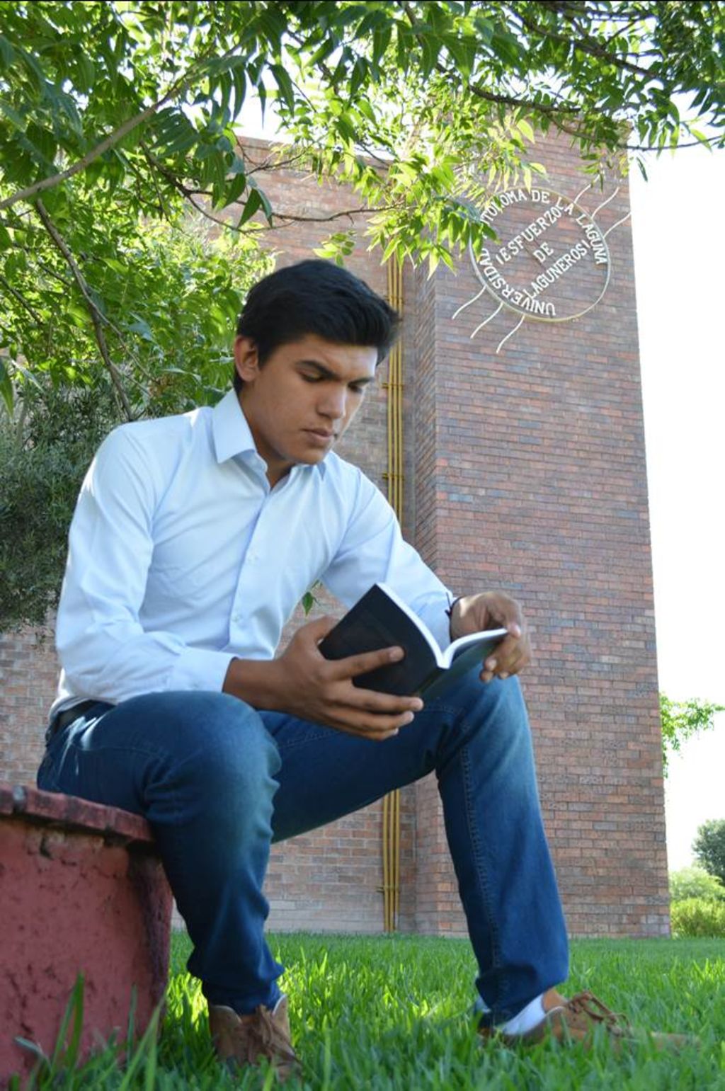 La edición. El libro del estudiante Alex Martín Valles Mendoza, fue publicado por la Universidad Autónoma de La Laguna.