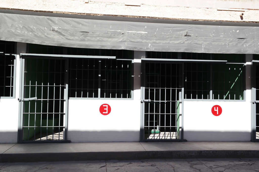 Detenidos. Los hermanos quedaron internados en las celdas de la Cárcel Municipal por la agresión. (ARCHIVO)
