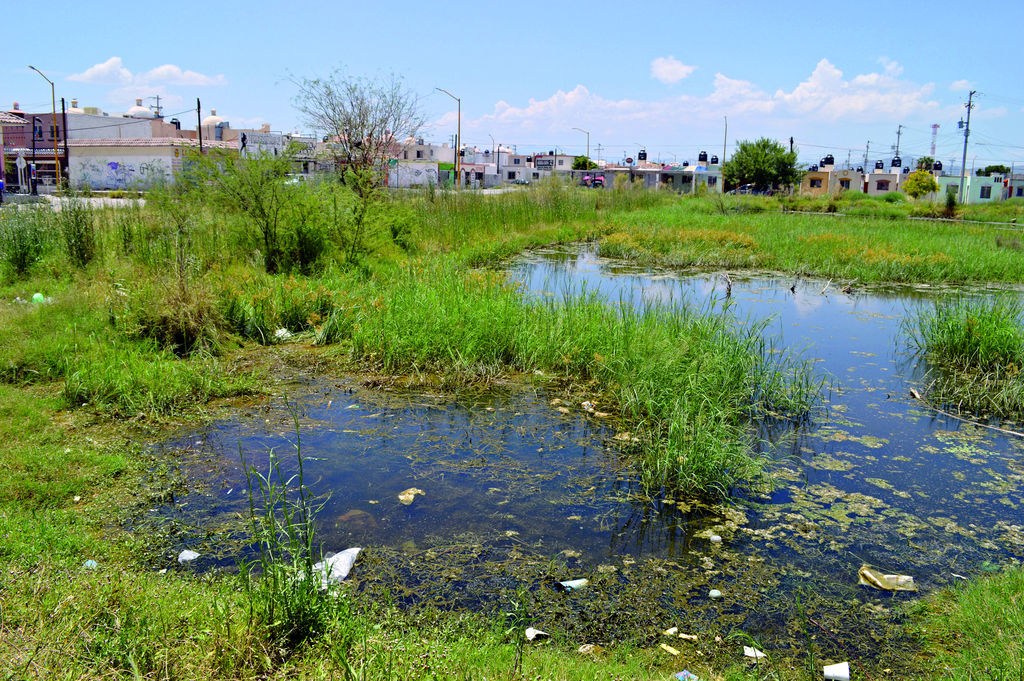 Riesgos. El terreno inundado en Campo Nuevo Zaragoza concentra gran cantidad de fauna nociva a la zona. (Roberto Iturriaga)