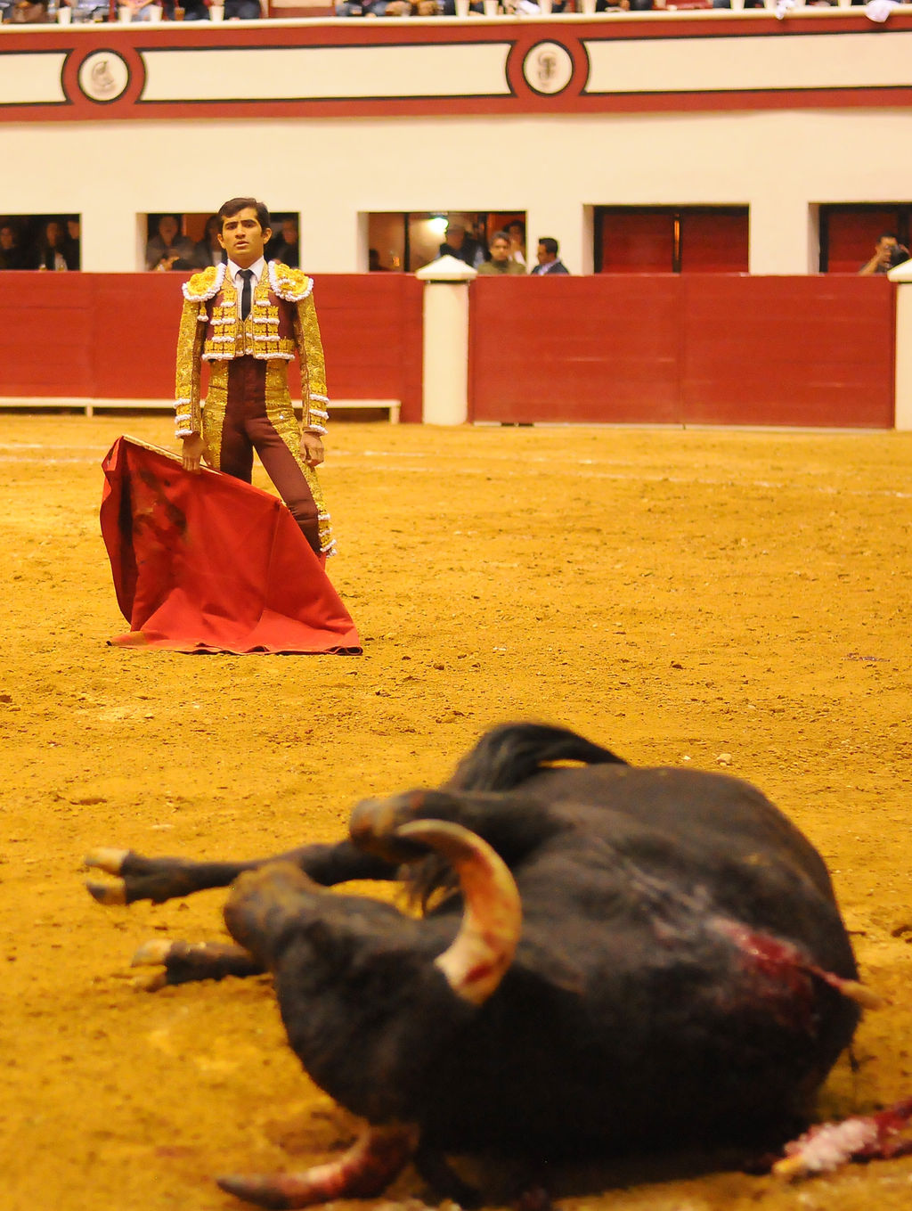 Los taurinos del estado de Coahuila pugnarán para que se respete el sentido actual de las corridas de toros, dando muerte a los astados en el ruedo, pues de cualquier manera, deberán ser sacrificados en los corrales. (Archivo)