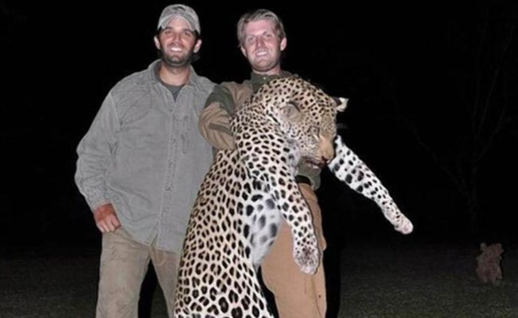 Las imágenes de Donald Trump Jr. y Eric Trump durante un viaje de caza en 2011 resurgieron luego del repudio que ha generado la cacería del león Cecil. (Especial)