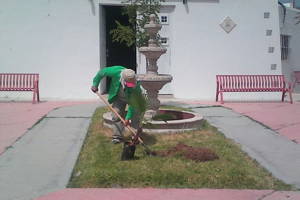 Mejoran imagen. El Centro Comunitario de San Fernando recibió mantenimiento y se plantaron algunos árboles.