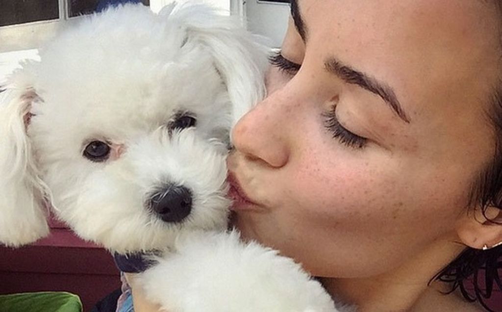 Devastada. La cantante y actriz Demi Lovato dedicó unas emotivas palabras a su perro fallecido el pasado fin de semana. (Especial)