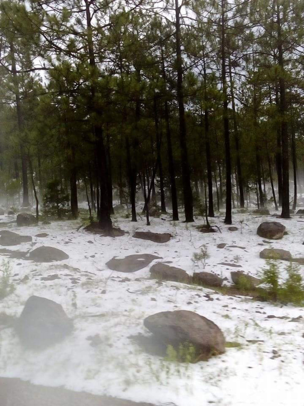 Aclaración. No es nieve lo que se observa en las imágenes, sino granizo en la zona serrana de Pueblo Nuevo.