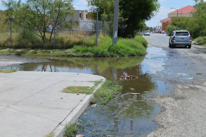 Aspecto. Las aguas sucias acumuladas en la avenida Del Capullo se extienen a otras vialidades.