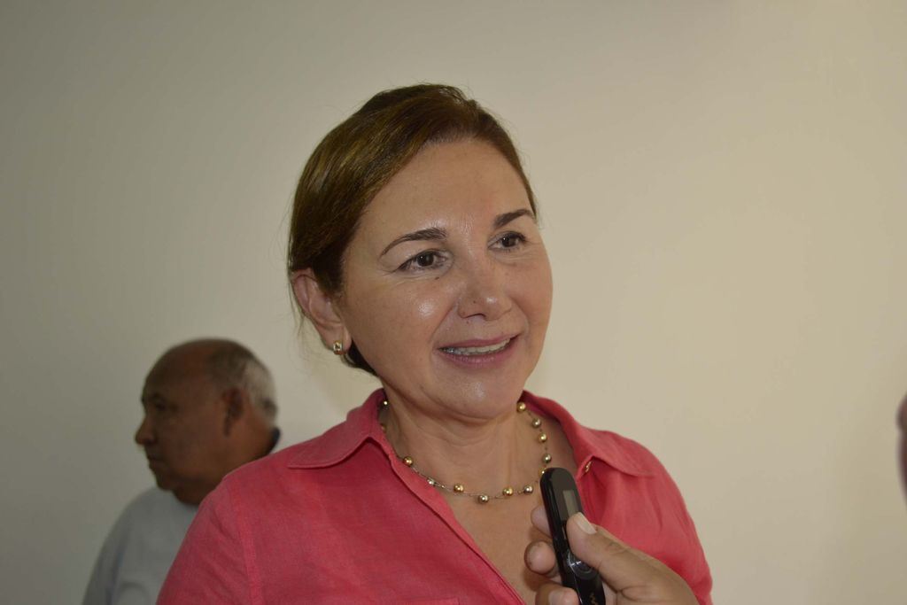 En espera. La diputada federal electa, Rocío Rebollo, señala que tiene en mente las primeras propuestas de su gestión. (EL SIGLO DE TORREÓN)