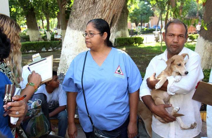 Esterilización Gratuita De Perros Y Gatos El Siglo De Torreón