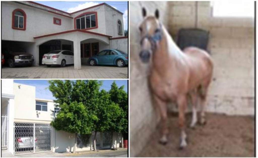 El Ministerio Público de la Federación aseguró a una organización criminal más de una docena de vehículos, en su mayoría tipo tráiler, montacargas, así como caballos “cuarto de milla”. (TWITTER)