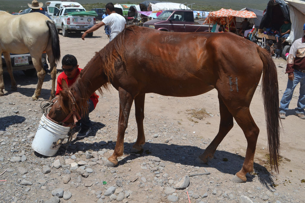 En caballo. Al llegar al Templo, los peregrinos buscaron agua para dar a sus caballos, que estaban cansados por el viaje. (ANGÉLICA SANDOVAL)