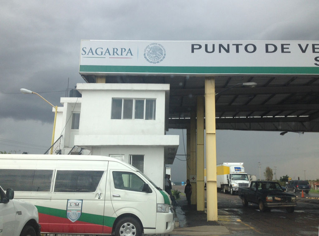 Operativo.  El Instituto Nacional de Migración realiza operativo en la caseta fitosanitaria del municipio de Vicente Guerrero.