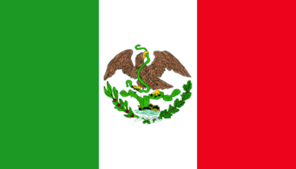 Mexicanos a sangre y fuego: el Heroico Batallón de San Patricio