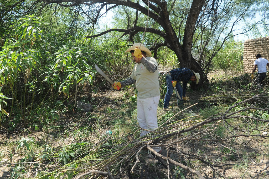 Programa. La asociación civil Eco Cañón actualmente lleva a cabo acciones de saneamiento en el Parque Estatal Cañón de Fdz. (Ramón Sotomayor)
