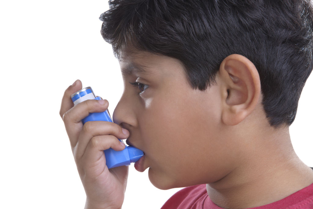 Las tasas de asma han aumentado desde la década de los 50 y, ahora, esta enfermedad de los bronquios afecta hasta al 20 % de los niños que viven en países occidentales, según los datos de la investigación. (ARCHIVO)
