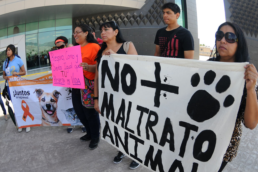 Pendiente. Aún se encuentra en revisión el proyecto de reglamento de Protección Animal y Trato Digno de Torreón. (ARCHIVO)