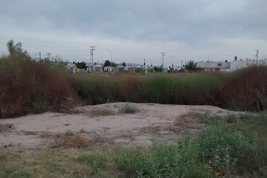Suciedad. El terreno destinado a ser una plaza en Campo Nuevo Zaragoza se observa actualmente lleno de maleza. (EL SIGLO DE TORREÓN)
