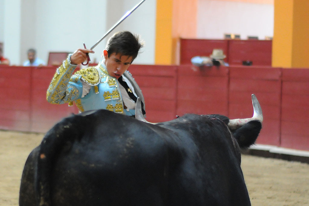 La academia de cultura taurina del Coliseo Centenario de Torreón fue la única escuela que logró poner a dos alumnos en la semifinal. 