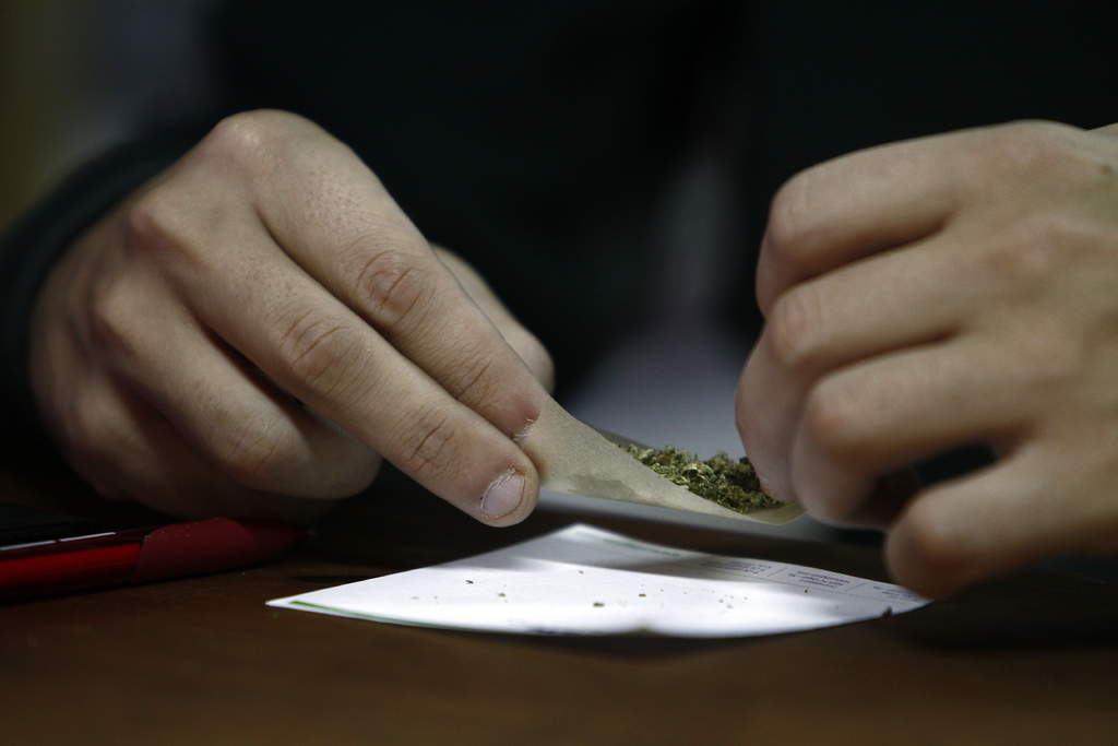 Proponen legalizar uso de marihuana 