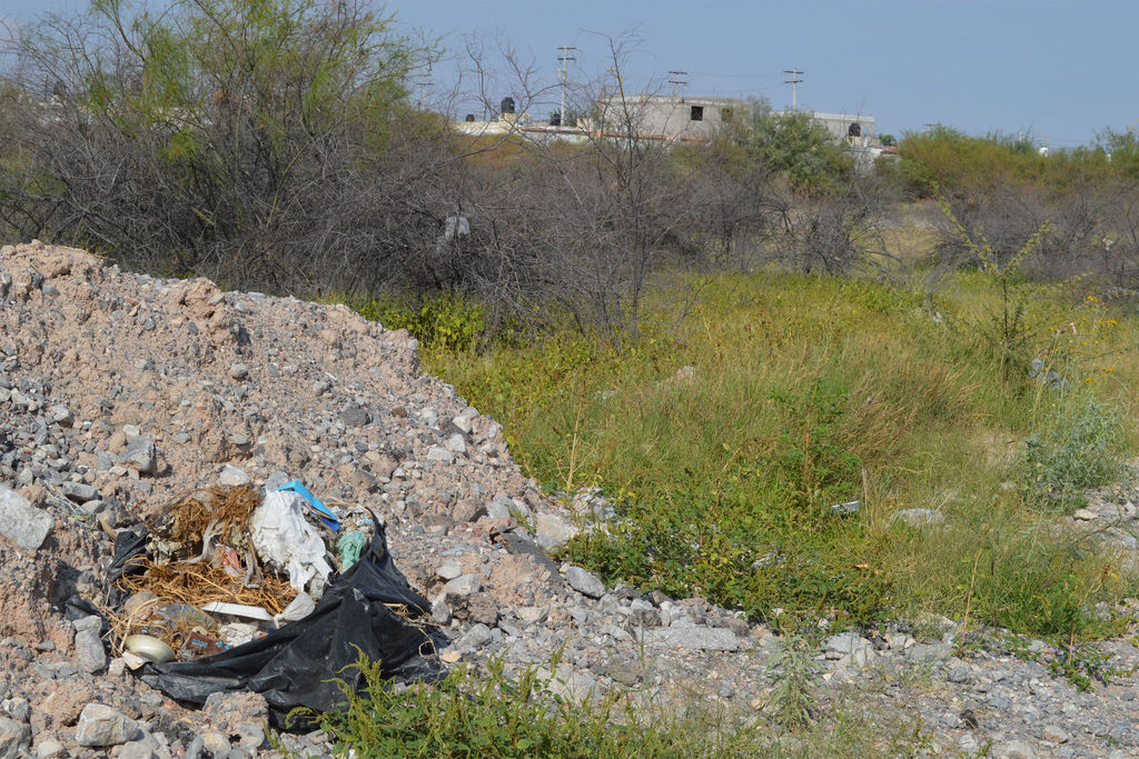 Daño. Los terrenos entre la colonia Los Profesionistas y Rincón del Bosque se observan llenos de basura y escombro. (ROBERTO ITURRIAGA)