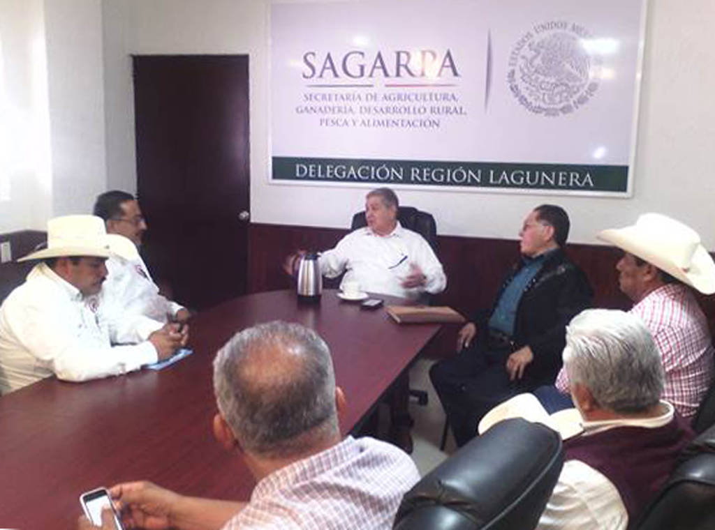 Reunión. El delegado de Sagarpa se reúne con productores de algodón para elaborar algunas propuestas de apoyo. (EL SIGLO DE TORREÓN)