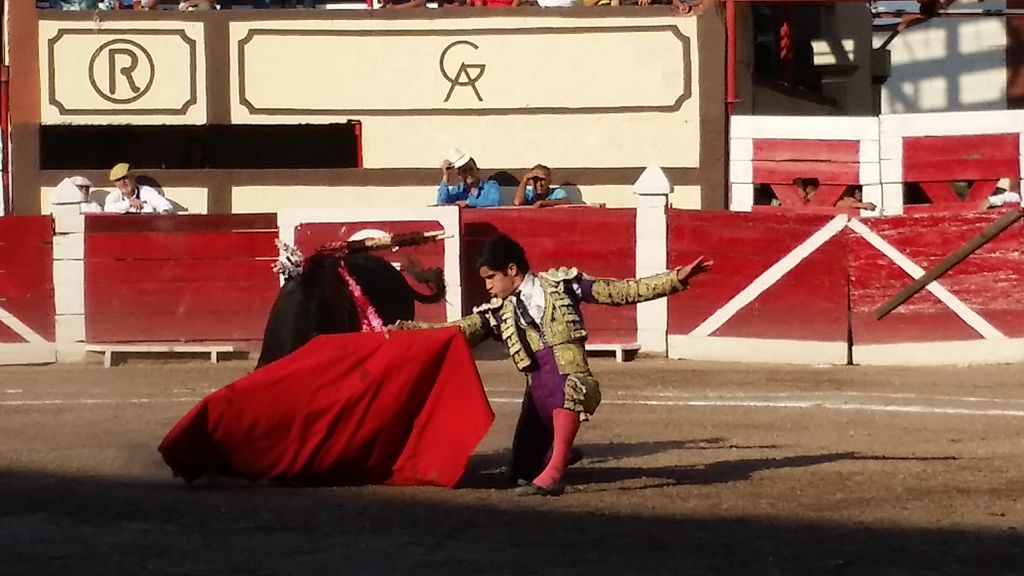 Este sábado se tiene previsto que se vuelvan a celebrar las corridas de Toros en la capital del estado. (ARCHIVO)