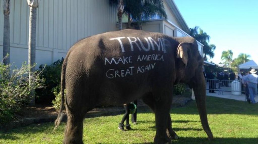Seguidores del aspirante dieron paso al elefante, símbolo del Partido Republicano, mientras le tomaban fotos. (TWITTER)